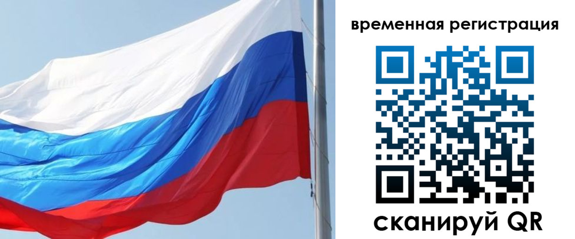 прописка 2025 в Ельне