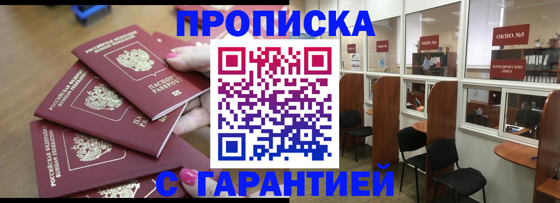 прописка поиск в Ельне